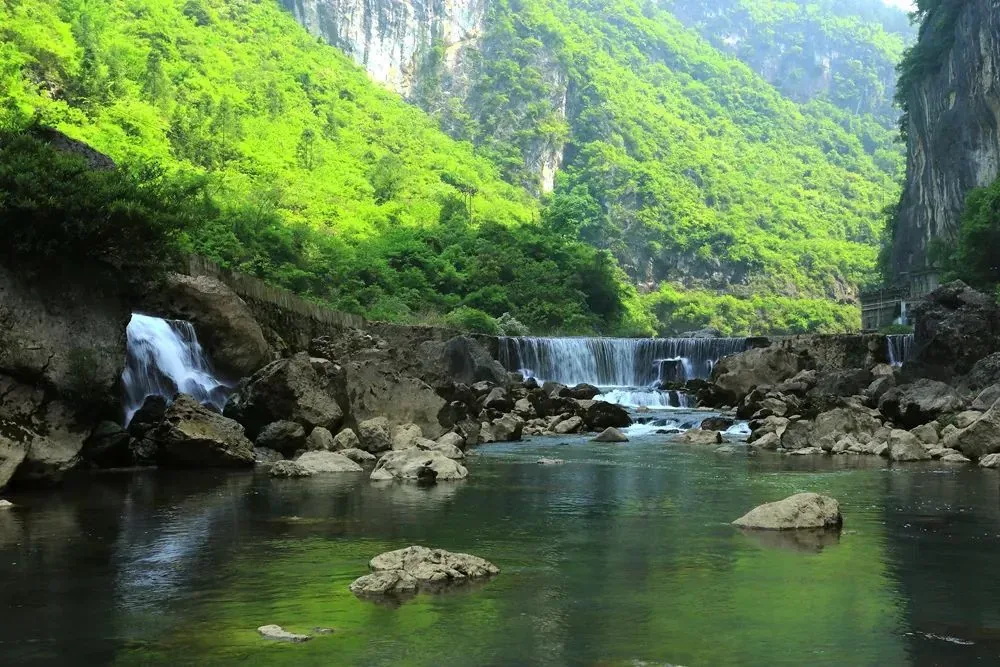 缩略图